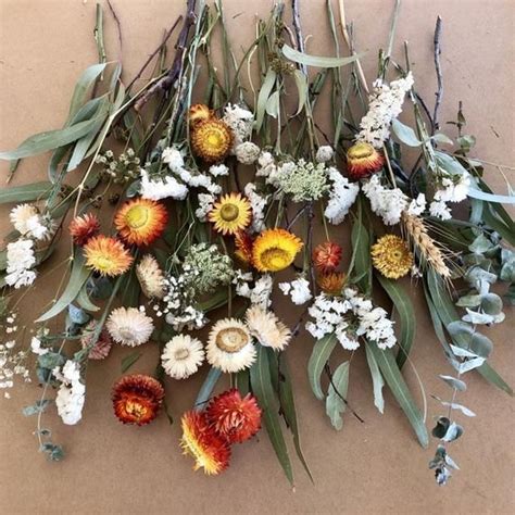 Dried Flowers And Stems
