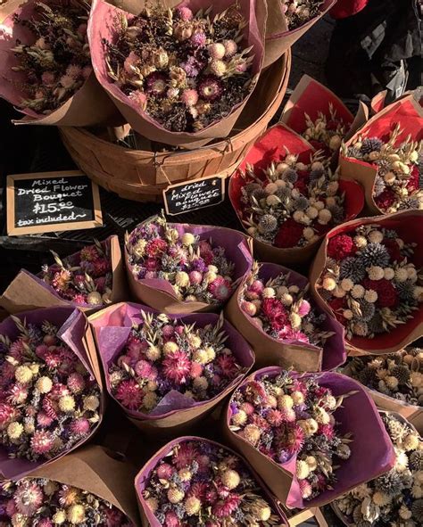 Dried Flowers Nyc