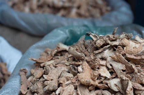 Dried Ginger Hs Code Zauba
