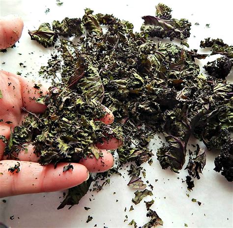 dried kale