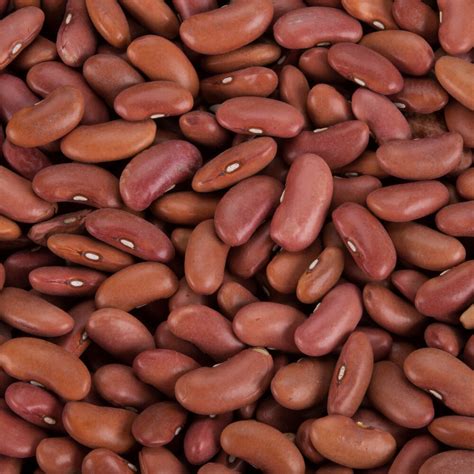 Dried Kidney Beans Nz