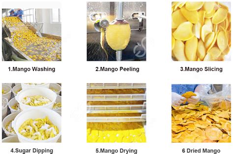 Dried Mango Making