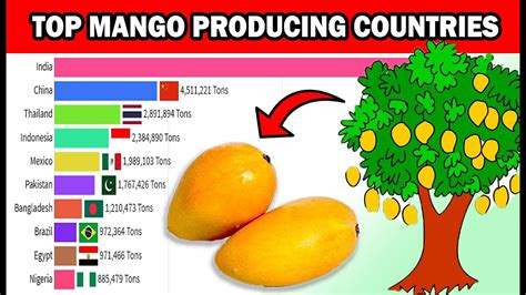 Dried Mango Origin Country