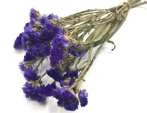 Dried Purple Statice
