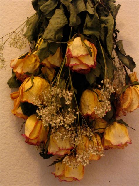 Dried Roses: Transform Your Space with Timeless Floral Beauty