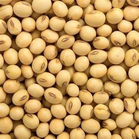 Dried Soybeans Price