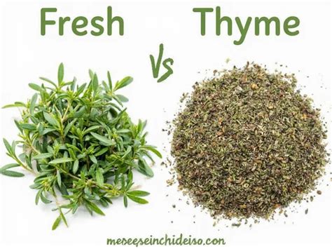 Dried Thyme Versus Fresh