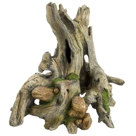 driftwood for a fish tank