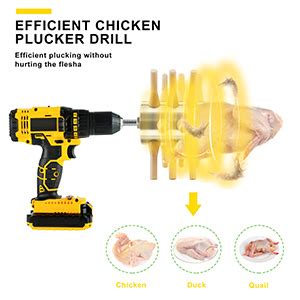 Drill Bit Chicken Plucker