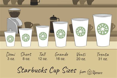 Drink Cup Size Comparison