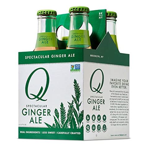 Drink Mixer Ginger Ale