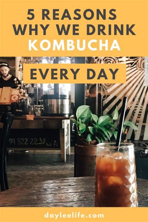 drinking kombucha every day