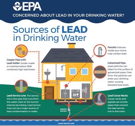 Drinking Water From Lead Pipes When Pregnant