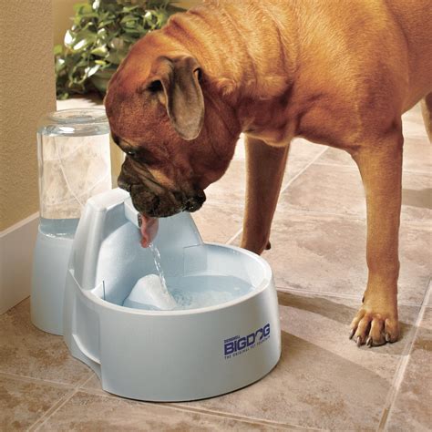 drinkwell big dog pet water fountain