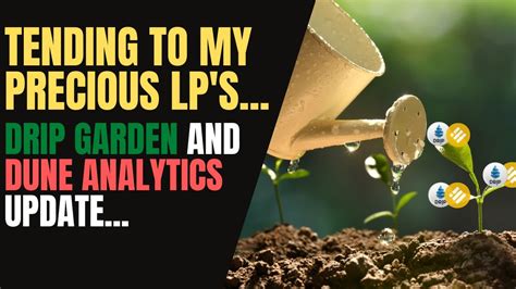 Drip Garden Dune Analytics