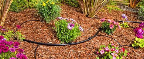 Drip Irrigation For Flowers