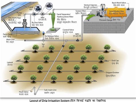 Drip Irrigation System Diagram