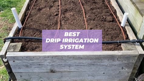 Drip Irrigation System Reviews