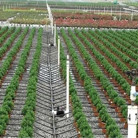 Drip Irrigation Systems Pune