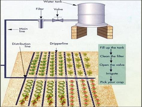 Drip Irrigation Using Gravity