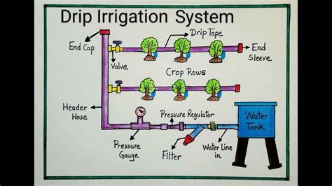 Drip System Diagram Class 8