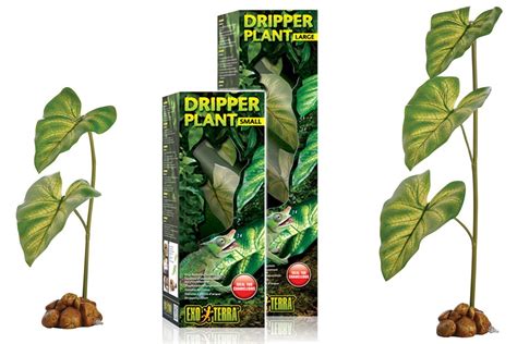 Dripper Plant