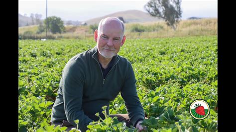 driscoll strawberries ceo