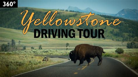 drive to yellowstone national park