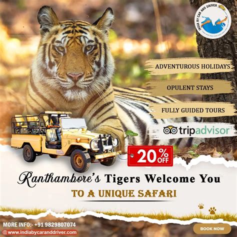 Driver Guide Ranthambore