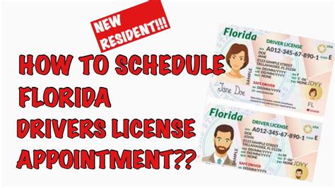 Driver License Florida Appointment