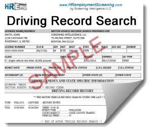 driver license record check