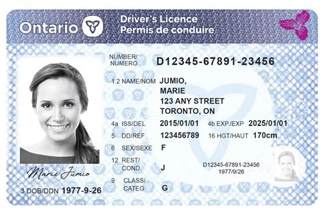 drivers license background check canada