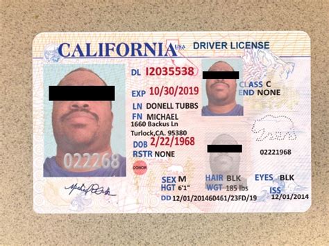 drivers license background check process