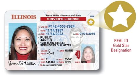 drivers license renewal illinois online