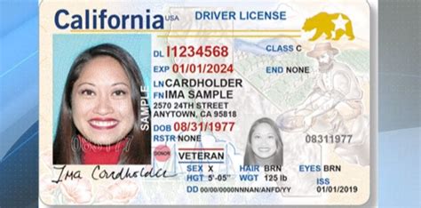 drivers license replacement