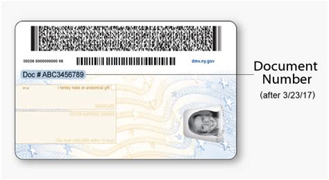 driving license id barcode
