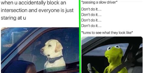 Driving Meme