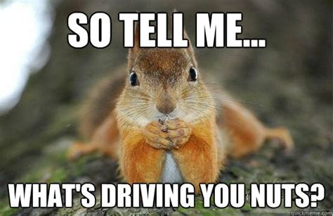 Driving Nuts Meme