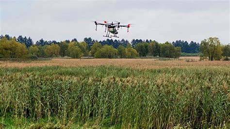 Drone Spraying Weeds