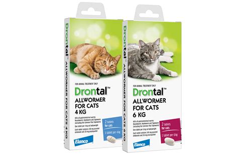 drontal liquid for cats