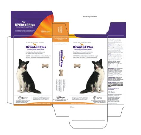 Drontal Side Effects In Dogs