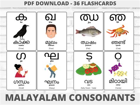 drop down meaning in malayalam with example pdf
