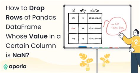 Drop Rows Pandas With Nan