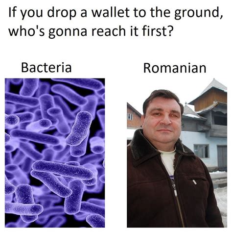 drop wallet romanian meme