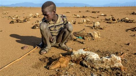 drought in kenya 2023