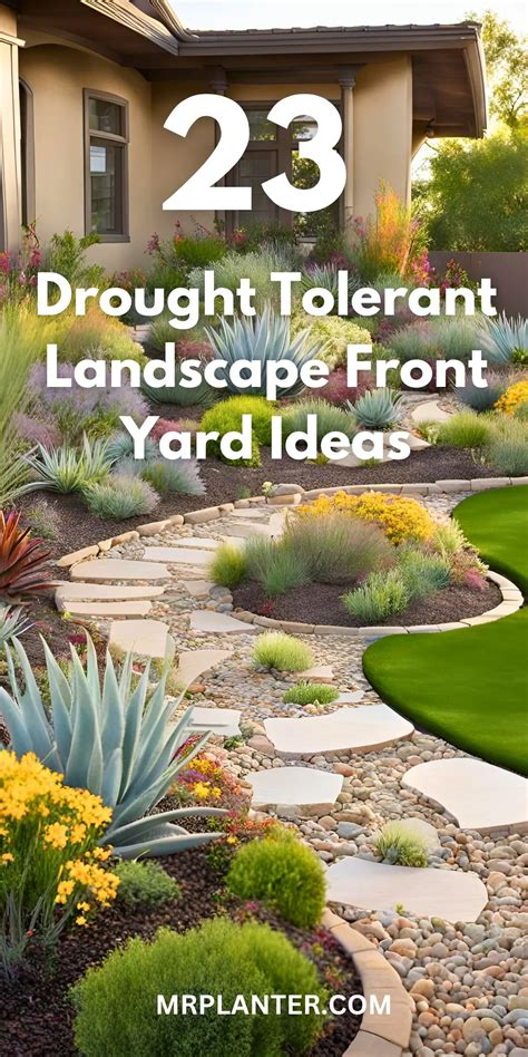 Drought Yard Ideas