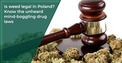 drug laws in poland