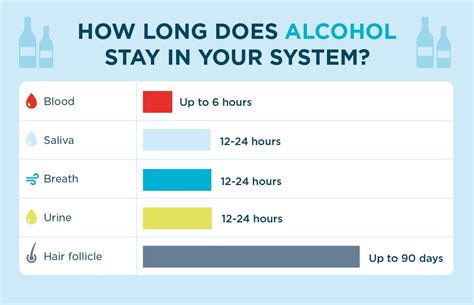 Drug Test How Long Alcohol Stay In Your System