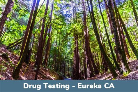 Drug Testing Eureka Ca