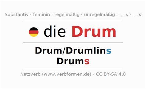 Drum Plural Of